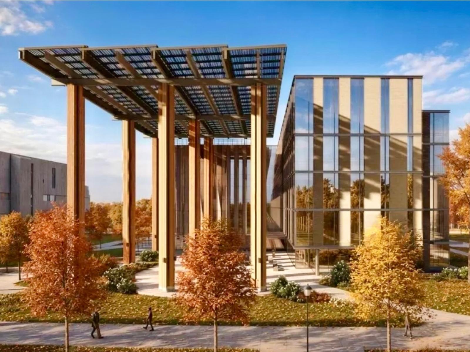 Building with a large timber canopy